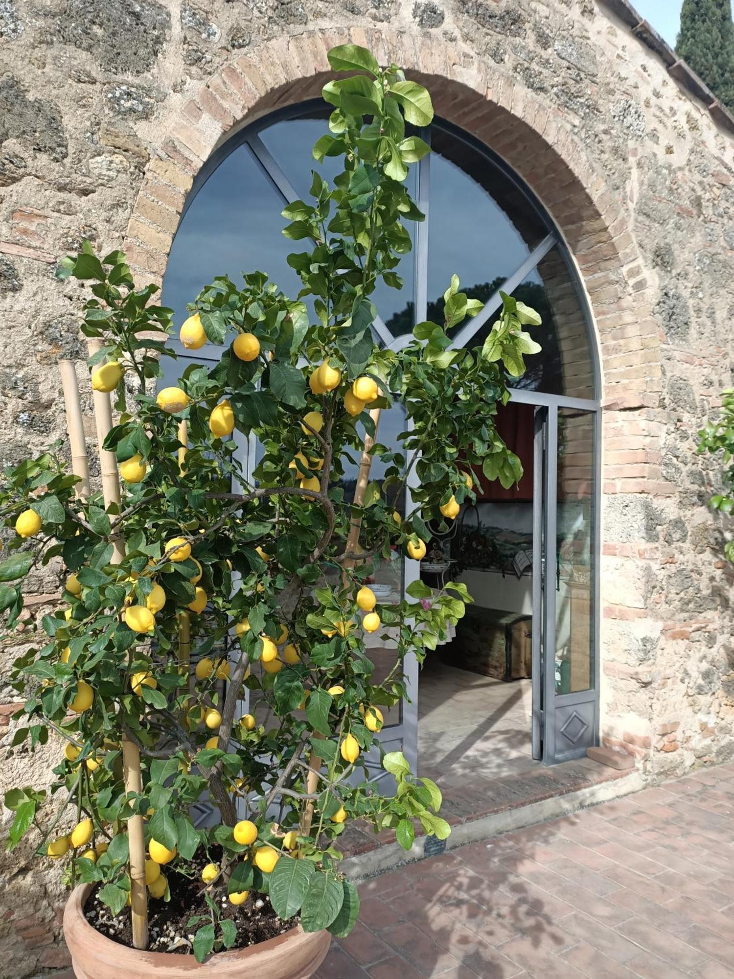 Relais Antico Borgo San Lorenzo ポッジボンシ エクステリア 写真